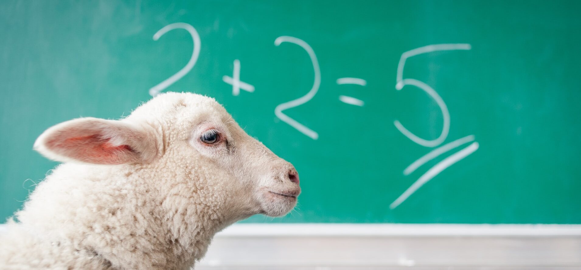 計算のできないひつじ