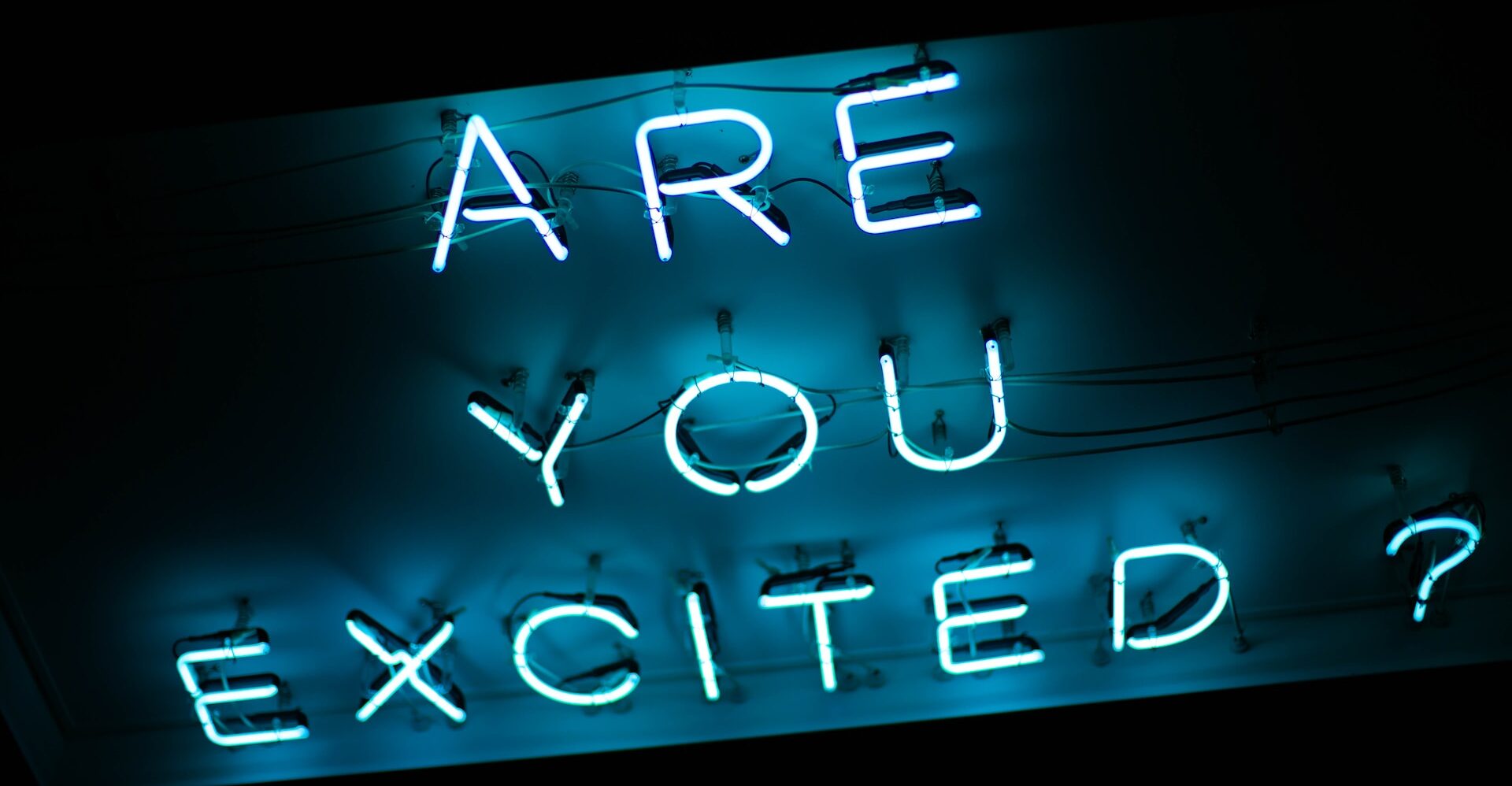 ワクワクしてますか？