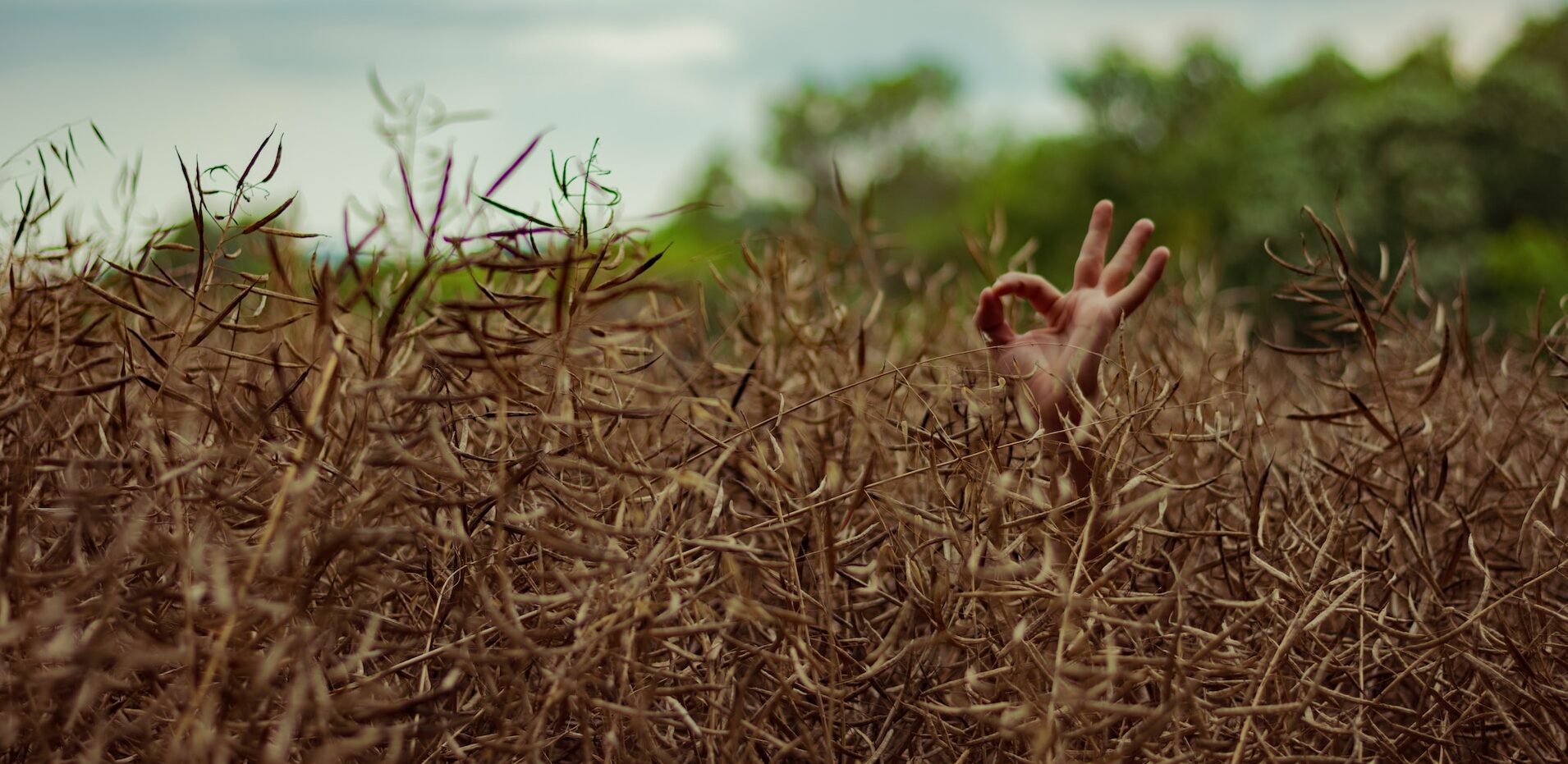 違いを見つける